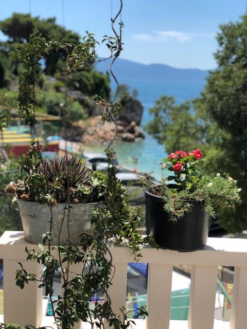 Villa Bosac Gradac  Dış mekan fotoğraf